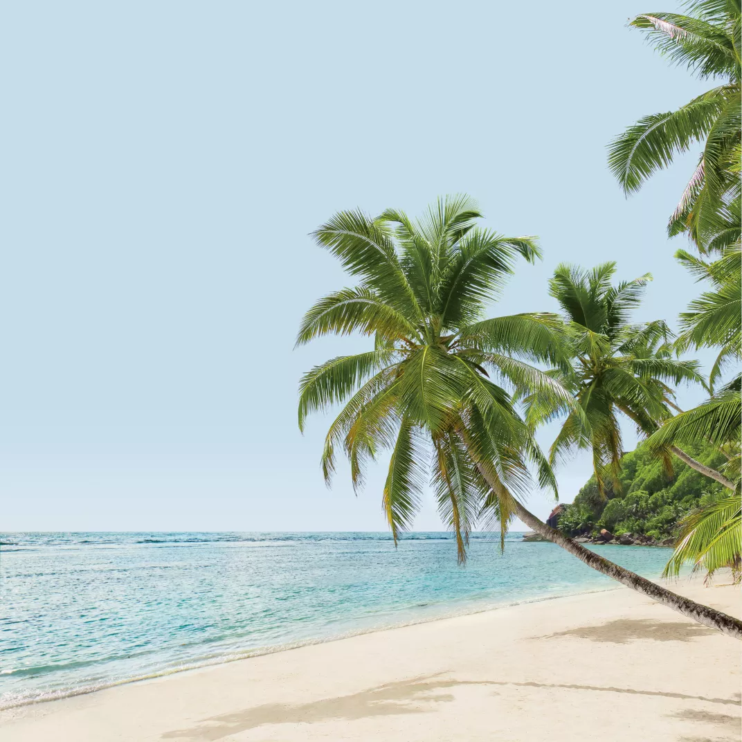 Rituel Thalgo Iles Pacifiques